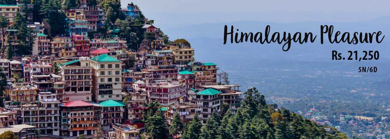  Himalayan Pleasure